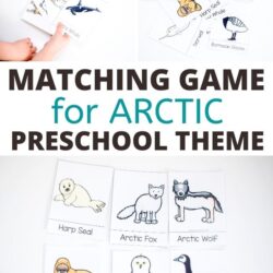 free matching game for arctic preschool theme