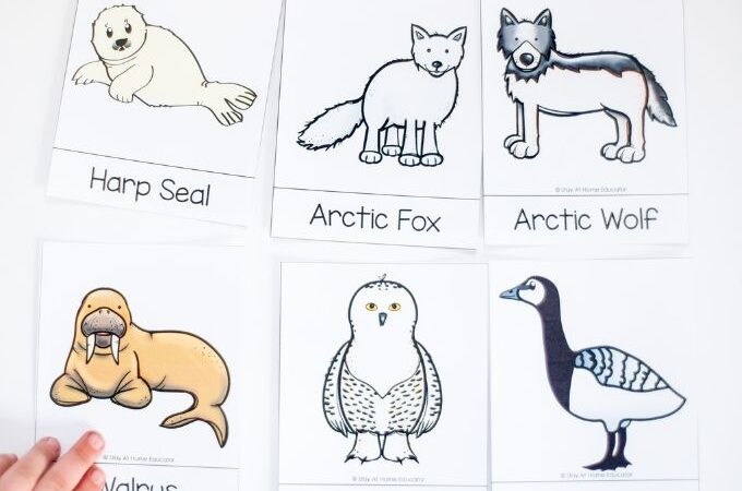 free arctic animals themed matching card game