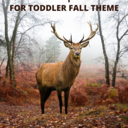 hibernation lesson plans for toddler fall theme