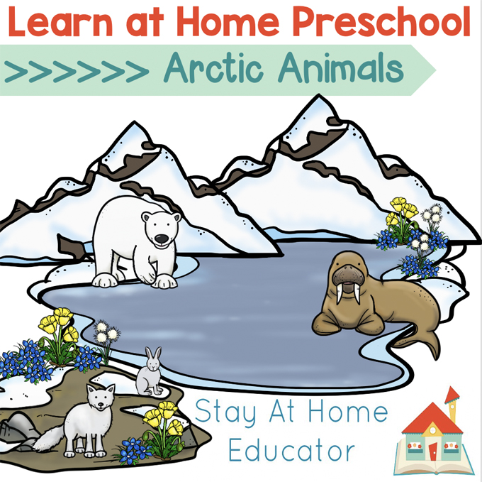 Free Arctic Animals Preschool Lesson Plans - Stay At Home Educator