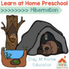 polar bear in den and chipmunk in tree text says learn at home preschool hibernation lesson plans | hibernation activities for preschoolers | winter preschool themes |