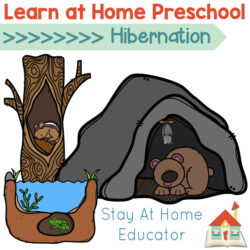 learn at home preschool hibernation theme