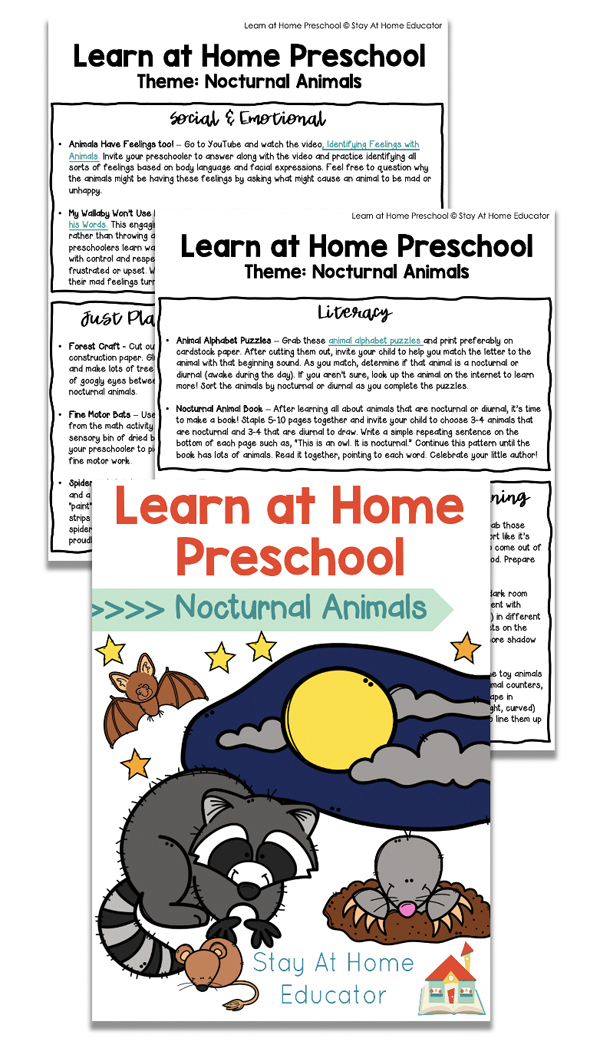 Free Nocturnal Animals Lesson Plans for Preschool -