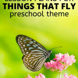 free lesson plans for things that fly preschool theme