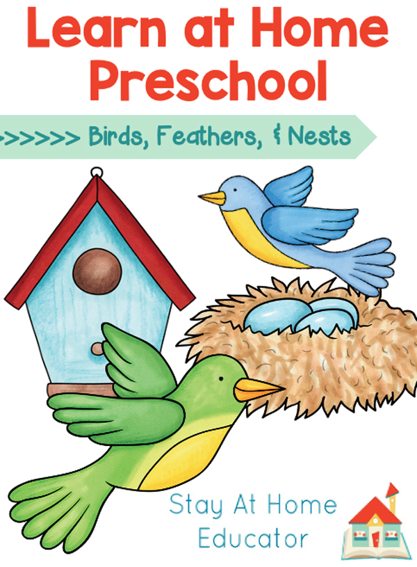 preschool lesson plan ideas for preschool bird theme