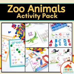 zoo animals activity pack