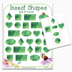 Insect Preschool Centers