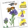 Insect math and literacy centers
