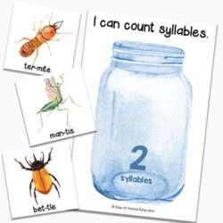 Insect Preschool Centers