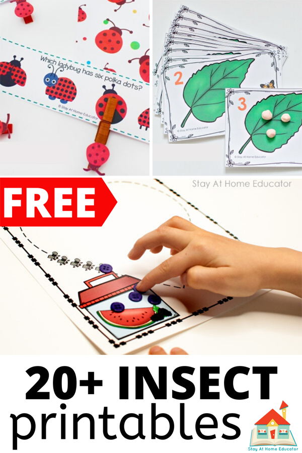 free insect printables for preschoolers and kindergarteners | bug printables |