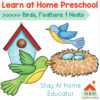 learn at home preschool for a birds, feathers, and nests theme