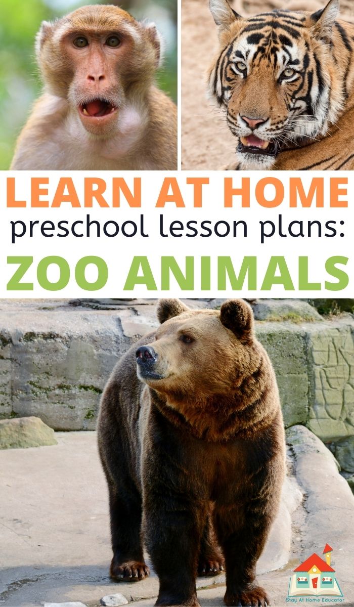 zoo animals preschool lesson plans | zoo preschool activities | animal theme preschool lesson plans | animals education activities for kids | wild animal preschool theme 