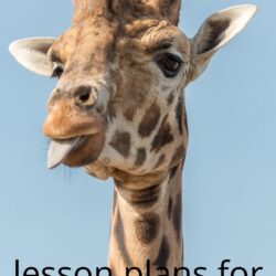 free lesson plans for zoo preschool theme