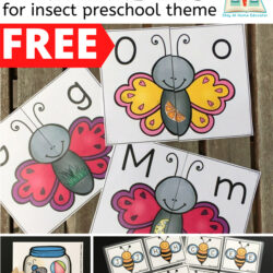 free insect printables for preschoolers and kindergarteners collage
