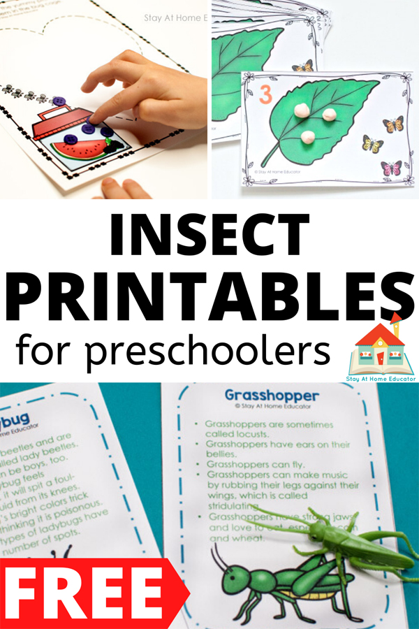 free insect printables for preschoolers and kindergarteners | free insect lesson plans for preschool | 
