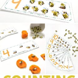 free counting cards for an insect theme