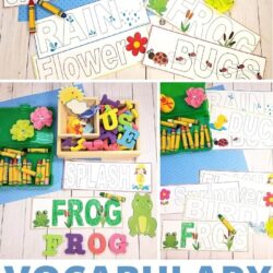 free vocabulary cards for spring theme