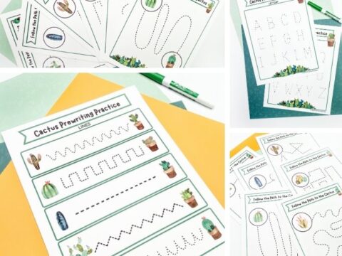Free Prewriting Worksheets for Preschoolers | Cactus Line Tracing Worksheets for Preschoolers | Preschool Line Tracing Worksheets | Enhance fine motor skills, hand-eye coordination, and letter and number recognition | A collage image with cactus and succulent pre-writing worksheets, alphabet tracing worksheets, and various line tracing worksheets, including straight lines, curved lines, and zigzag lines.