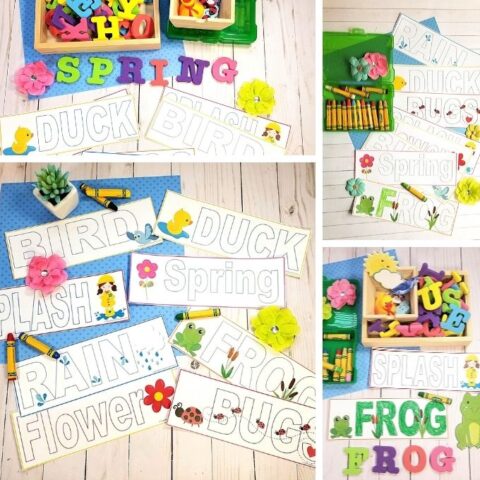 Spring Vocabulary Cards