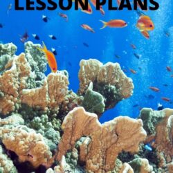 free ocean preschool theme lesson plans