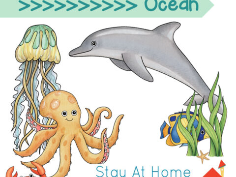 free ocean activities for preschoolers and toddlers