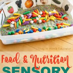 Fruit and Veggie Sensory Bin for Preschoolers text says- food and nutrition sensory bin | healthy eating preschool activities |