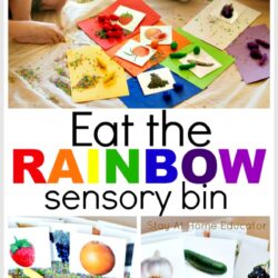 Fruit and Veggie Sensory Bin for Preschoolers text says eat the rainbow sensory bin | food and nutrition preschool theme