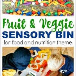 Fruit and Veggie Sensory Bin for Preschoolers with text - Fruit and veggie sensory bin for food and nutrition theme |