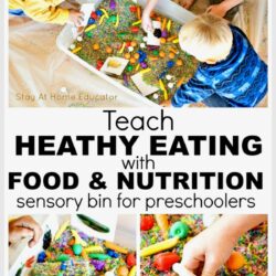 Fruit and Veggie Sensory Bin for Preschoolers text - Teach healthy eating with food & nutrition sensory bin for preschoolers |