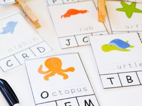 Image for Ocean Animal Phonics Activity: FREE Printable Clip Cards