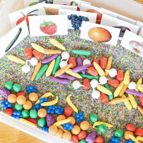 Food and Nutrition Sensory Bin with Printable Fruit and Veggie Cards