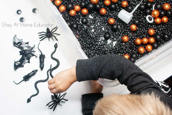 Halloween sensory bin and sensory bin ideas for Halloween with creepy crawly activities