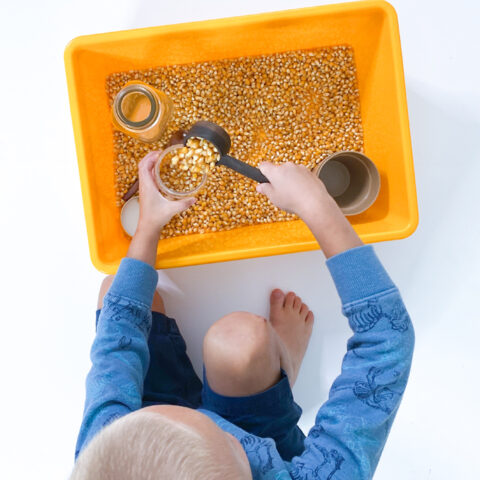 corn sensory bin | scooping and pouring fine motor | toddler sensory bins |