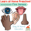 Learn at home preschool lesson plans with a five senses theme