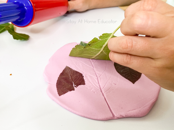 a small hand peels a leaf off their homemade playdough leaving an imprint | leaf activities for preschool | fall sensory activity | autumn playdough ideas | fall playdough table