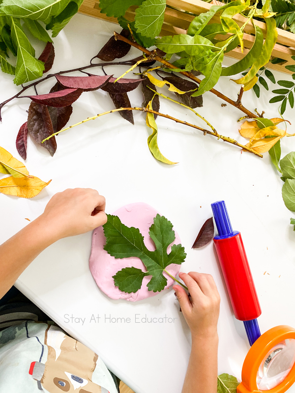 a child places a fall leaf onto playdough for autumn play
