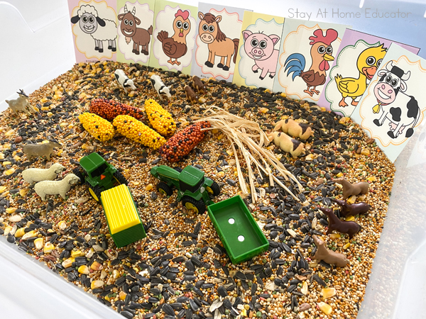 a farm sensory bin for preschoolers to develop fine motor skills and communication through sensory play