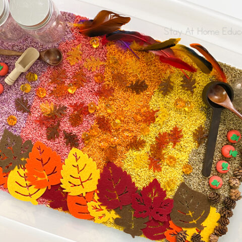 Colorful Fall Sensory Table for Preschoolers
