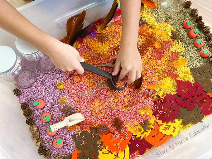 small preschool hands using a scoop to pick up rice in a fall sensory table 