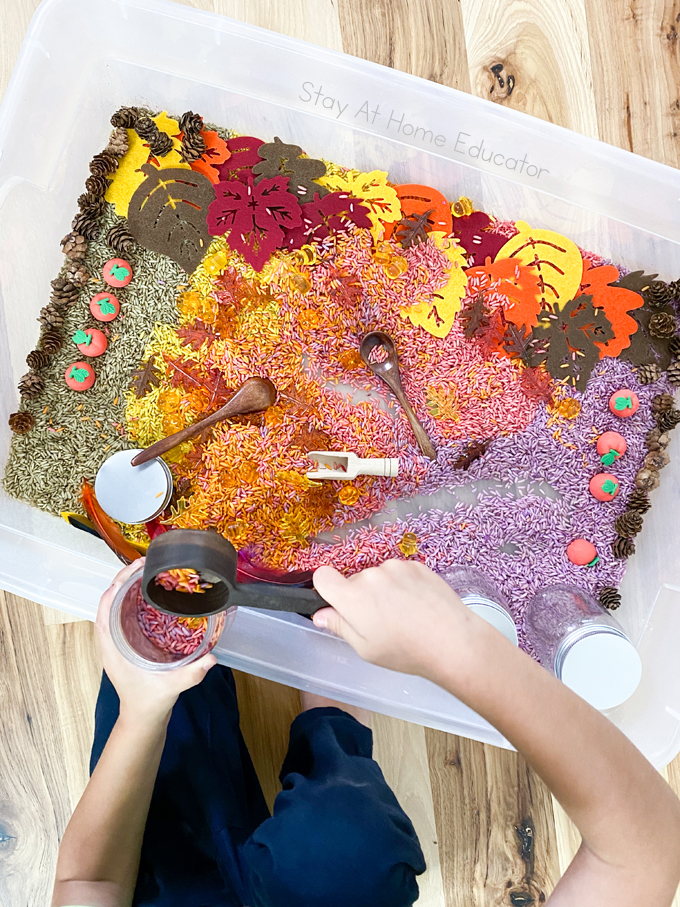 a preschooler kneeling by a fall sensory bin and using a scoop to pour rice into a jar