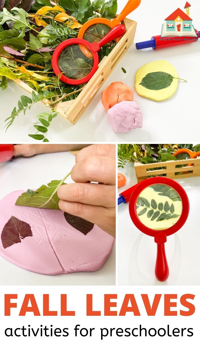 three views of the supplies needed to make leaf impressions in playdough in a pinnable collage with the text fall leaves activities for preschoolers
