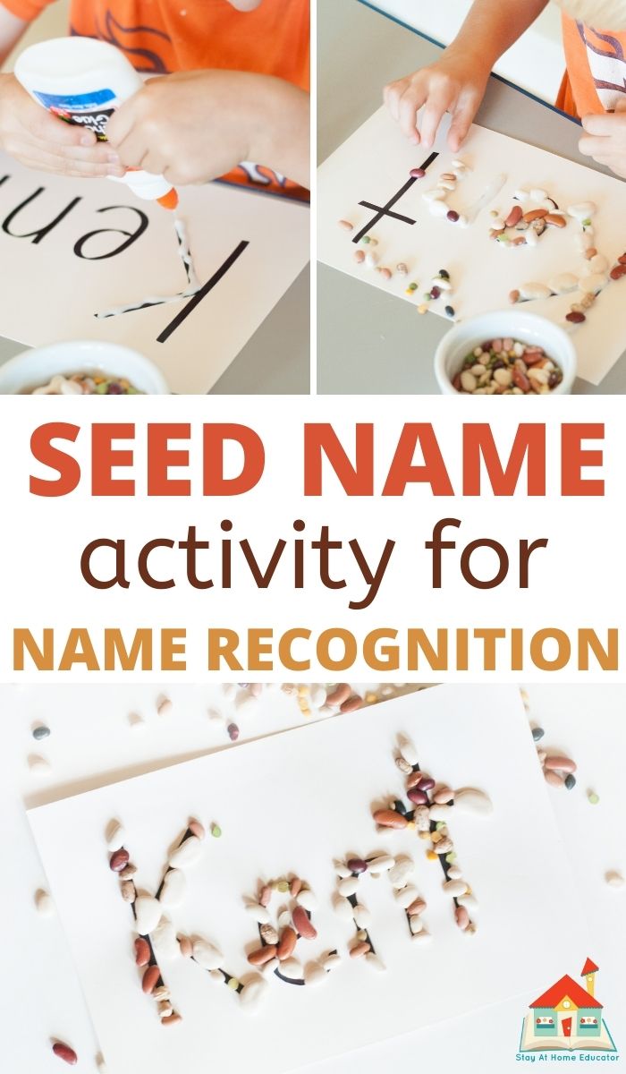 pinnable collage of preschool hands making a name activity using seeds by gluing seeds into the shape of their names 