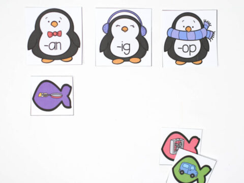 Image for Penguin Word Family Sort