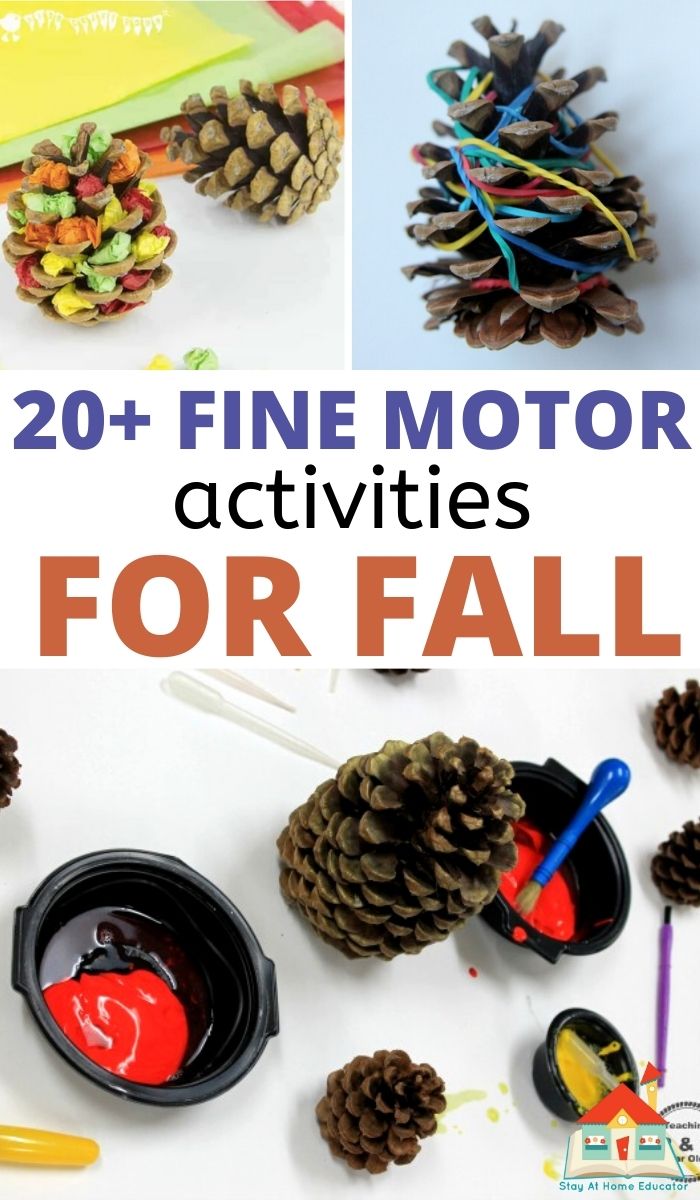 three activities involving pinecones that work fine motor muscles in a pinnable collage with the text 20+ fine motor activities for fall