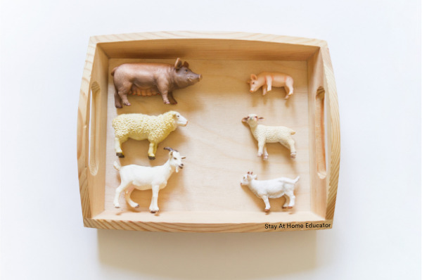 six animals in a sorting tray, three babies and three mommies that demonstrate one to one correspondence