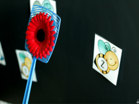 Image for Swat the Bug Learning Activity