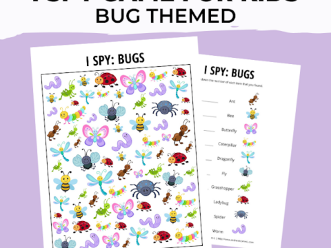 Image for Bug I Spy Game