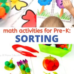 sorting activities for preschoolers