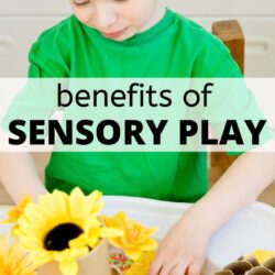a child plays in a sensory bin and builds language and cognitive skills through sensory play