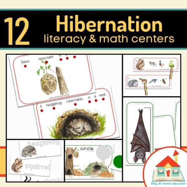 Hibernation Preschool Centers
